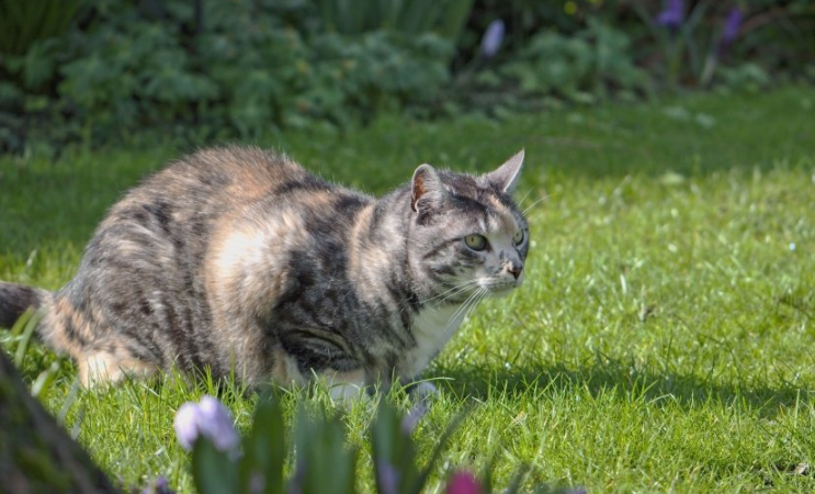优酷广告开户流程有哪些？优酷开户客服电话是多少？