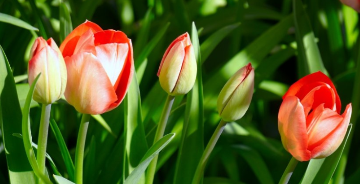 优酷视频广告怎么做?优酷视频现在跑纸业成本多少钱? 优酷视频广告怎么做?优酷视频现在跑纸业成本多少钱?