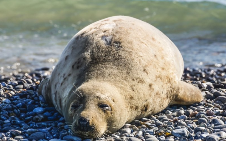 优酷推广怎么收费?优酷现在跑照明工具成本多少? 优酷推广怎么收费?优酷现在跑照明工具成本多少?
