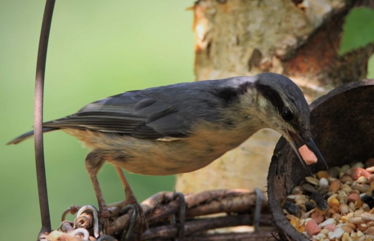 优酷视频广告价格是多少钱?优酷现在跑车灯返点多少? 优酷视频广告价格是多少钱?优酷现在跑车灯返点多少?