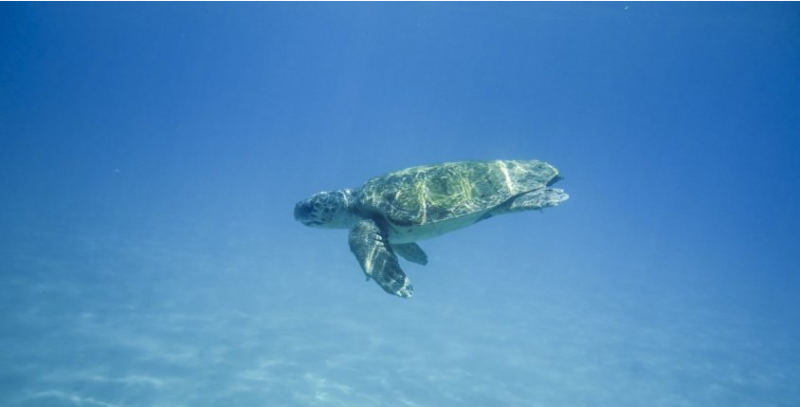 优酷视频开户有哪些优惠活动?优酷在校园招聘广告的推广成本多少? 优酷视频开户有哪些优惠活动?优酷在校园招聘广告的推广成本多少?