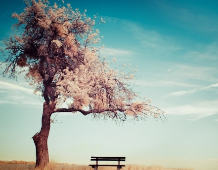 微信广告怎么投放?广告怎么做? 微信广告怎么投放?广告怎么做?