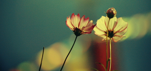 微信广告怎么投放?广告怎么做? 微信广告怎么投放?广告怎么做?