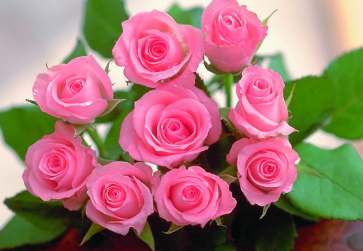 微信广告怎么做？微信广告价格。