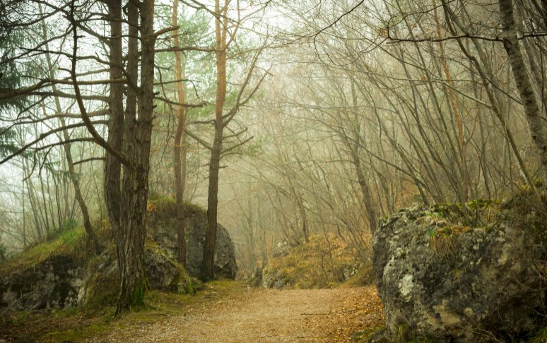 什么是微信推广?为什么要进行微信推广? 什么是微信推广?为什么要进行微信推广?