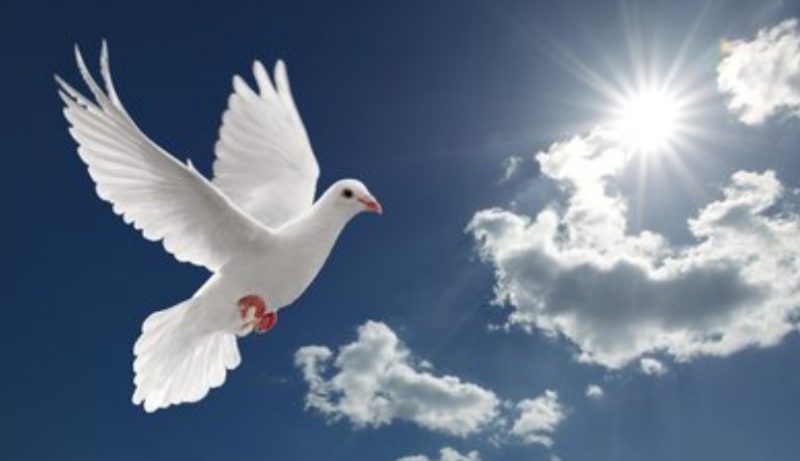 同步淘宝店铺商品发自己店铺可以吗(淘宝一键转发宝贝到店铺) 同步淘宝店铺商品发自己店铺可以吗(淘宝一键转发宝贝到店铺)