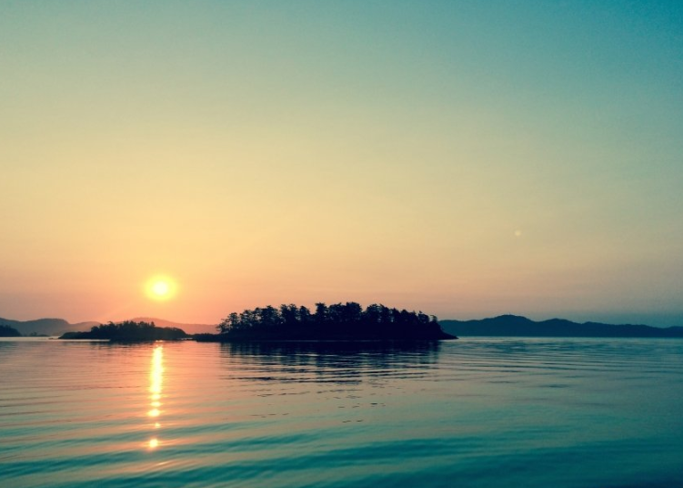 服装行业在智慧树投放广告效果怎么样?智慧树推广开户流程有哪些？