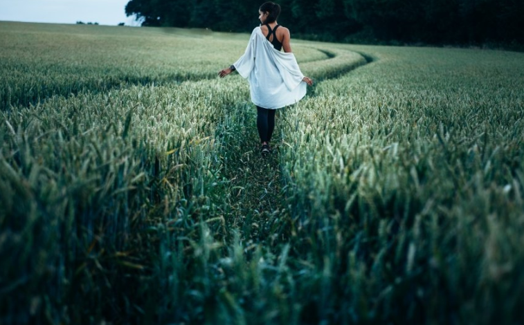 东方现在跑减肥效果怎么样？东方现在跑加肥效果怎么样？