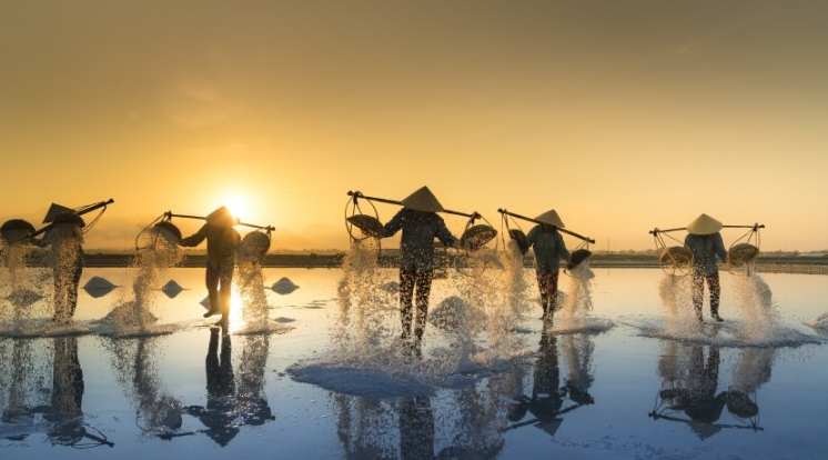 懂球帝推广电话是多少？懂球帝现在跑饲料成本多少？