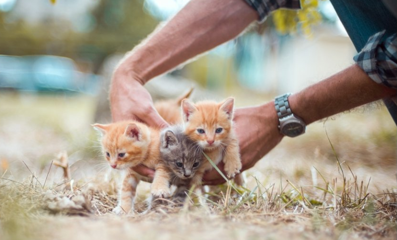 linkedin广告效果怎么样?linkdein广告客服电话是多少？