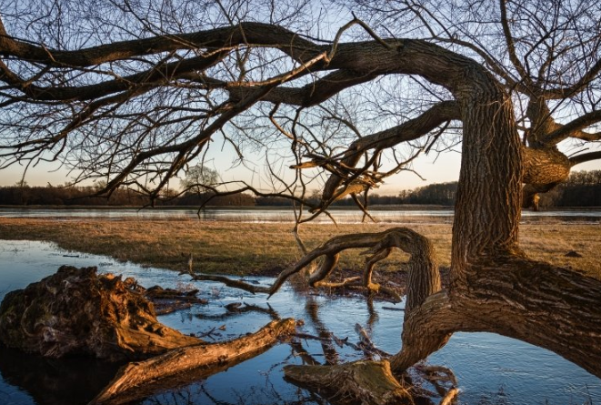 一点资讯现在跑广点通返点多少?一点资讯现在做推广效果怎么样? 一点资讯现在跑广点通返点多少?一点资讯现在做推广效果怎么样?