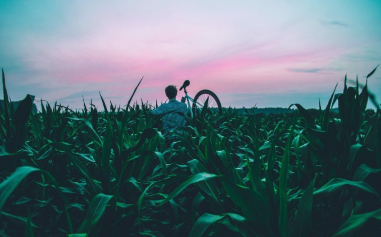 在探探跑石材保养返点多少?探探现在跑生物能源返点多少? 在探探跑石材保养返点多少?探探现在跑生物能源返点多少?