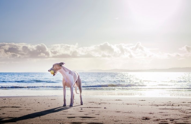 七猫小说广告政策有哪些？七猫现在跑服装行业效果怎么样？