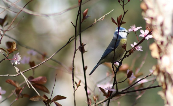 懂球帝现在跑服装行业成本需要多少钱呢？懂球帝现在跑健身器材成本需要多少钱？