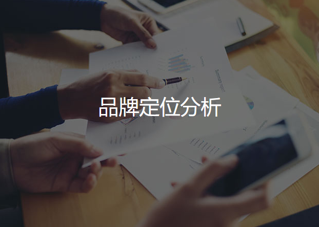 品牌定位分析 品牌定位分析