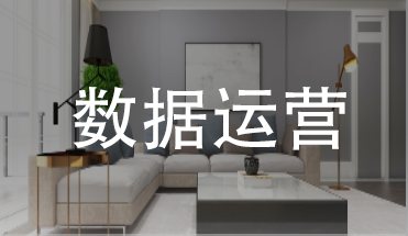 数据运营