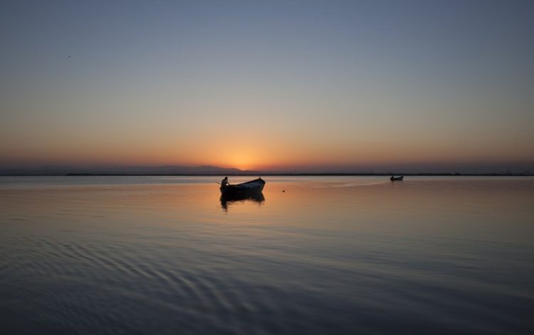 智慧树app里的广告怎么收费?服装行业在智慧树投放广告效果怎么样? 智慧树app里的广告怎么收费?服装行业在智慧树投放广告效果怎么样?