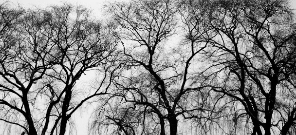 wps现在跑装修返点是多少？wps广告现在怎么收费？