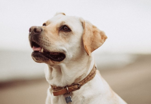 懂球帝信息流广告优惠活动有哪些？懂球帝现在跑生活用品成本需要多少钱?