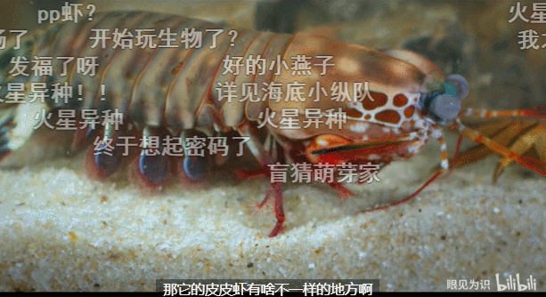 家电3C品牌必看!要这样和UP主一起整活儿 家电3C品牌必看!要这样和UP主一起整活儿