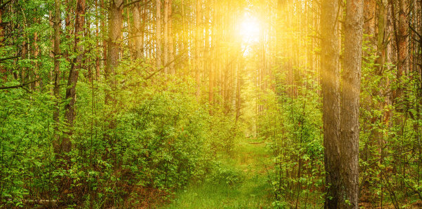 Pinterest开户怎么做?Pinterest推广白酒广告优惠活动有哪些? Pinterest开户怎么做?Pinterest推广白酒广告优惠活动有哪些?