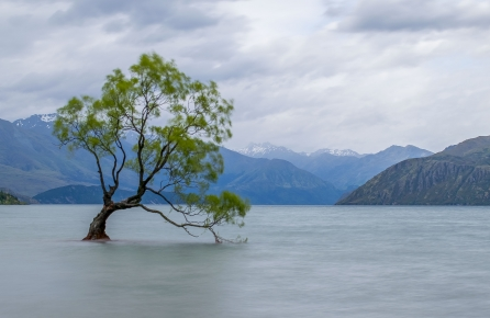 小红书广告有哪些优惠活动?小红书推广登录入口在哪里? 小红书广告有哪些优惠活动?小红书推广登录入口在哪里?