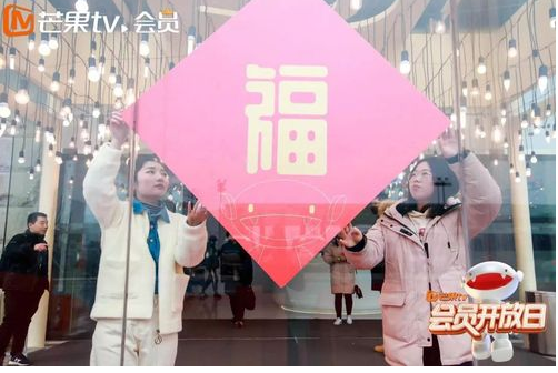 芒果TV荣获最具商业价值投放奖,创新模式受金屏奖肯定 芒果TV荣获最具商业价值投放奖,创新模式受金屏奖肯定