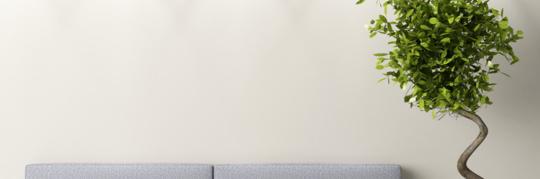 亚马逊跑美妆广告开户价格是多少?广告政策有哪些? 亚马逊跑美妆广告开户价格是多少?广告政策有哪些?