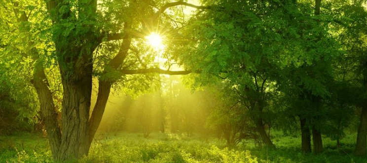 YouTube跑玩具广告投放技巧有哪些？怎样收费？