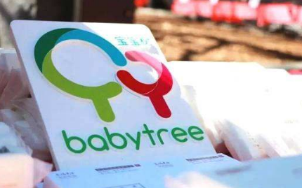 宝宝树投放推广的主要核心优势 优点有哪些 ? 宝宝树投放推广的主要核心优势 优点有哪些 ?