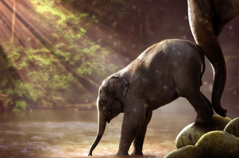 linkedin推广客服电话是多少？linkedin跑保险业返点好不好？