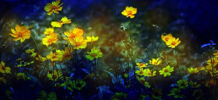 Pinterest跑环保广告怎么收费？Pinterest推广怎么做？