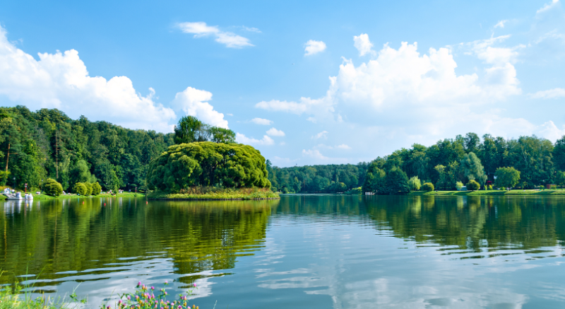 网易新闻广告20年财报增长惊人！