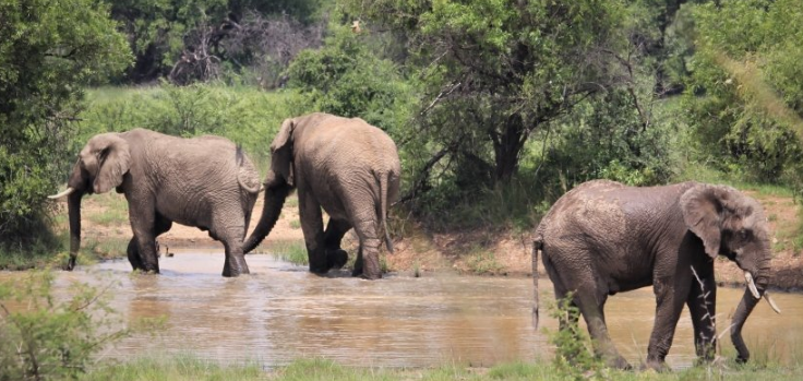 芒果TV广告怎么收费？芒果TV视频广告客服电话是多少?