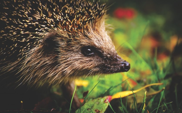 YouTube现在跑帽子成本多少?YouTube现在开户需要多少钱? YouTube现在跑帽子成本多少?YouTube现在开户需要多少钱?