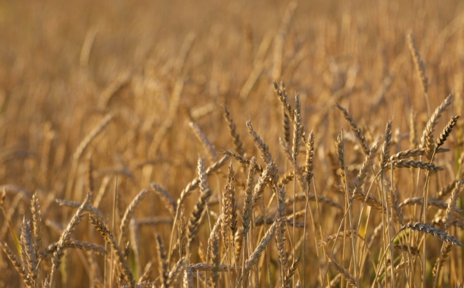 QQ浏览器现在跑金融效果怎么样?QQ浏览器信息流广告怎么做? QQ浏览器现在跑金融效果怎么样?QQ浏览器信息流广告怎么做?