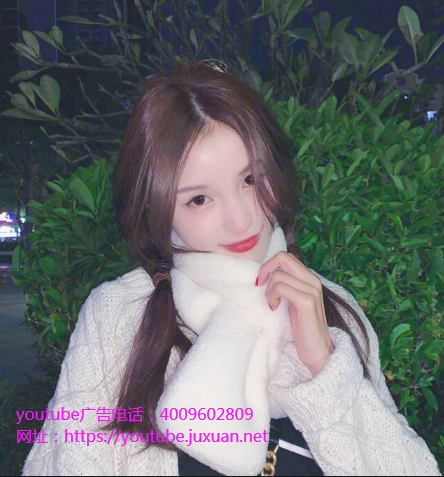 YouTube信息流广告流程上的“李佳琦” 月入最高683万美元 YouTube信息流广告流程上的“李佳琦” 月入最高683万美元