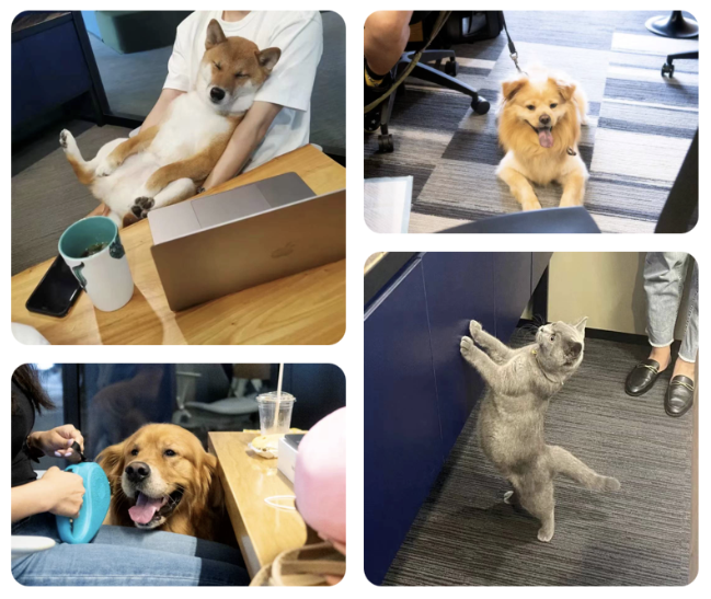 广告人终于上综艺了? 广告人终于上综艺了?