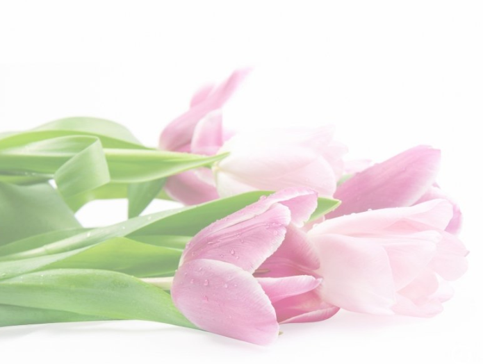 宝宝树现在跑什么广告效果好?宝宝树网赚能投放广告吗? 宝宝树现在跑什么广告效果好?宝宝树网赚能投放广告吗?