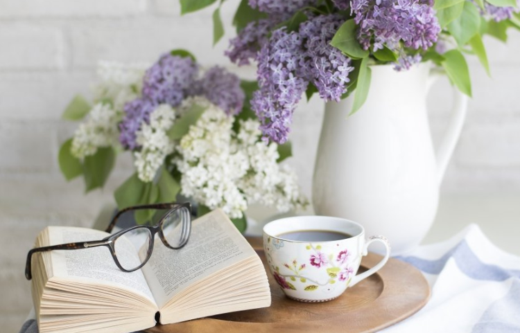 宝宝树现在跑什么广告效果好?宝宝树网赚能投放广告吗? 宝宝树现在跑什么广告效果好?宝宝树网赚能投放广告吗?