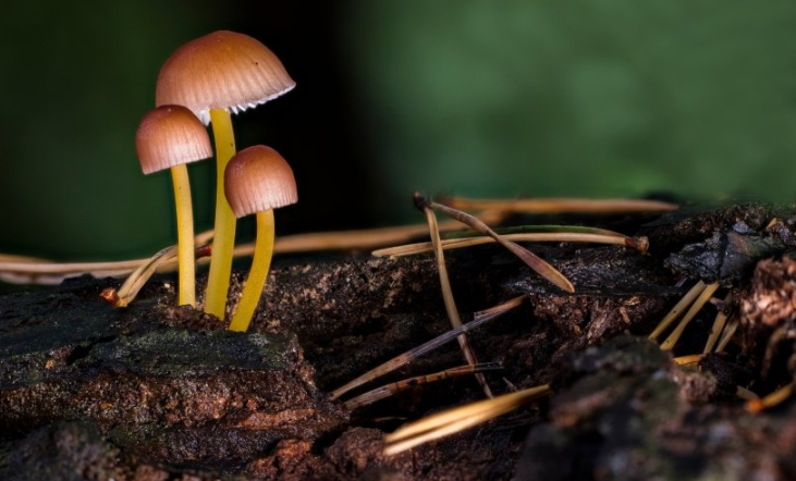 YouTube现在跑兼职成本多少?YouTube跑插座广告怎么做? YouTube现在跑兼职成本多少?YouTube跑插座广告怎么做?