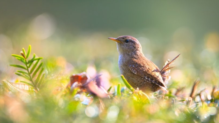 YouTube现在跑兼职成本多少?YouTube跑插座广告怎么做? YouTube现在跑兼职成本多少?YouTube跑插座广告怎么做?