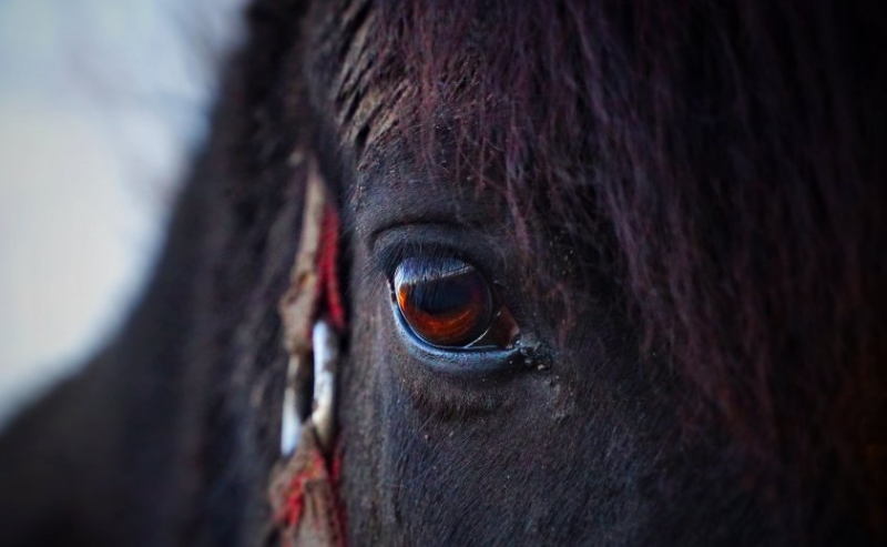 小红书信息流开户怎么做? 小红书信息流开户怎么做?