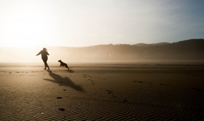 linkedin信息流多少钱代运营?linkedin广告多少钱投放? linkedin信息流多少钱代运营?linkedin广告多少钱投放?