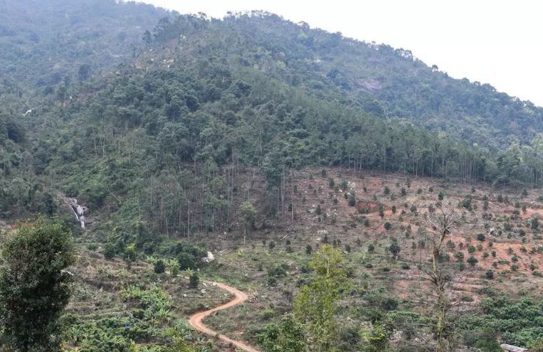 美图广告开户找哪里？全国有多少公司能做美图推广？