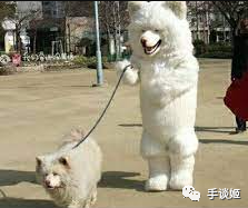 这款在抖音火爆+taptap排行榜第一的躺平游戏,居 这款在抖音火爆+taptap排行榜第一的躺平游戏,居