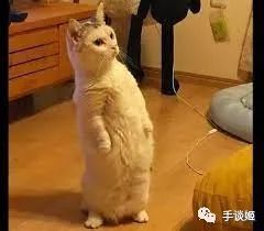 这款在抖音火爆+taptap排行榜第一的躺平游戏,居 这款在抖音火爆+taptap排行榜第一的躺平游戏,居