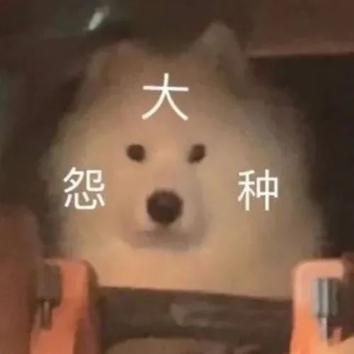 千万别在网红淘宝店铺买衣服,真的会踩雷! 千万别在网红淘宝店铺买衣服,真的会踩雷!