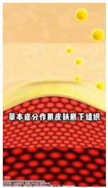 大健康商家直投单客户日耗破10w案例 | 快手广告平台 大健康商家直投单客户日耗破10w案例 | 快手广告平台