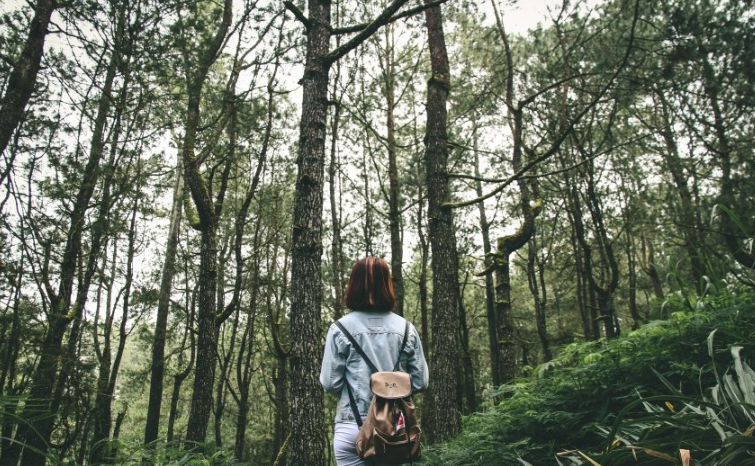 百度上跑火工产品效果怎么样?百度信息流怎么投放广告? 百度上跑火工产品效果怎么样?百度信息流怎么投放广告?